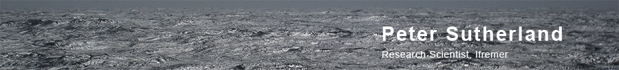Sunglitter on waves